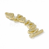 Rack Plating Brass Micro Pave Clear Cubic Zirconia Connector Charms ZIRC-F130-13G-3