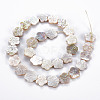 Electroplated Natural Freshwater Shell Beads Strands SHEL-N026-164-2