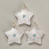 Natural Quartz Crystal Pendants G-Z157-01G-A05-1