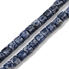 Natural Blue Spot Jasper Beads Strands G-G275-D21-10x10mm-2