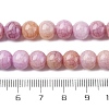 Ombre Effect Dyed Glass Beads Strands X-GLAA-T031-01O-10-5