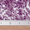 MIYUKI Delica Beads SEED-JP0008-DB2389-4