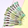12 Skeins 6 Colors 6-Ply Polyester Embroidery Floss OCOR-FS0001-01B-04-7