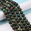Natural African Turquoise(Jasper) Beads Strands X-TURQ-G037-10mm-4