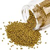 MIYUKI Delica Beads LS-X-SEED-J020-DB0665-1