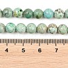 Natural Peruvian Turquoise(Jasper) Beads Strands G-F836-A02-6mm-5