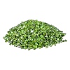 Natural & Dyed Peridot Tumbled Chips X-PW-WGA7DCE-05-1