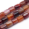 Natural Agate Beads Strands G-L551D-03-1
