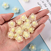 Transparent Acrylic Beads TACR-S152-09C-07-5