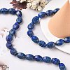 Natural Lapis Lazuli Beads Strands G-K311-09C-3