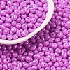 6/0 Glass Seed Beads X1-SEED-L011-08A-26-1