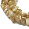 Natural Trochus Shell Beads Strands BSHE-G039-01A-3