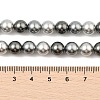 Baking Paint Pearlized Glass Pearl Round Bead Strands PEAR-H019-02C-05-2