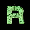 Luminous Resin Pendants X1-RESI-I059-R01-3