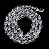 Transparent Glass Beads Strands EGLA-N013-T4mm-D01-2