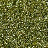 MIYUKI Delica Beads SEED-X0054-DB2377-3