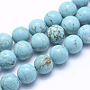 Natural Magnesite Beads Strands TURQ-G148-07-12mm-1