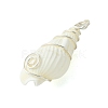 Natural Trumpet Shell Pendants PALLOY-JF02794-02-4