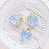Acrylic Pendants PW-WG59062-06-1