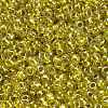 TOHO 8/0 Round Beads SEED-TR08-1013-3