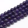 Natural Amethyst Beads Strands G-R446-10mm-21-1