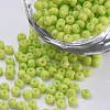 Baking Paint 8/0 Glass Seed Beads SEED-Q025-3mm-L19-1