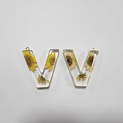 Transparent Epoxy Resin Pendants CRES-YW0002-12V-1