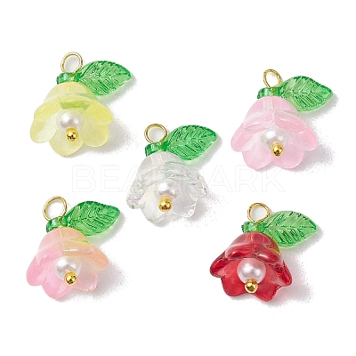 Mixed Color Glass Pearl & Acrylic Charms PALLOY-JF02567-02-1