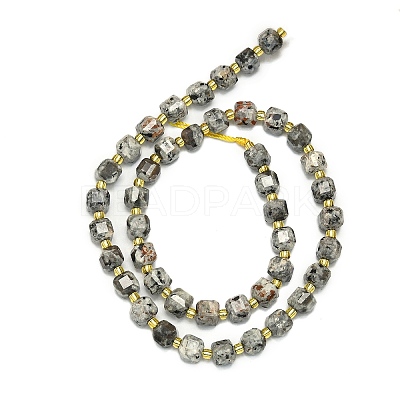 Natural Syenite Beads Strand G-I376-D17-01-1