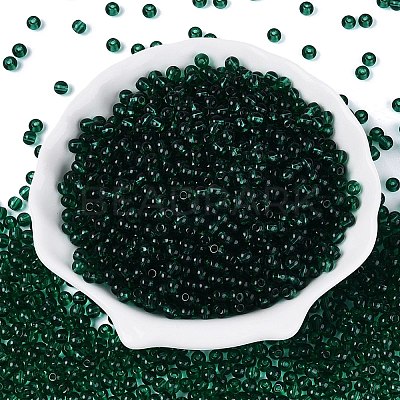FGB Transparent Glass Seed Beads SEED-N013-01A-06-1