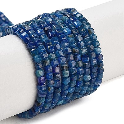 Natural Kyanite Beads Strands G-H042-B27-01-1