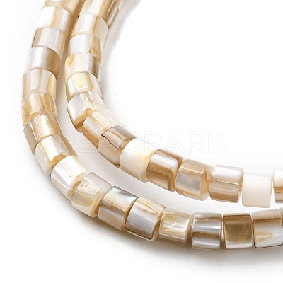 Natural Freshwater Shell Beads Strands X-SHEL-R129-05-1