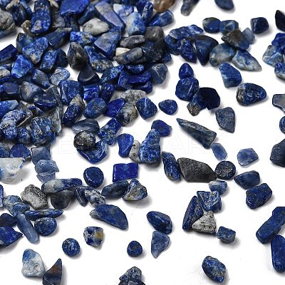 Natural Lapis Lazuli Chip Beads G-L453-05-1