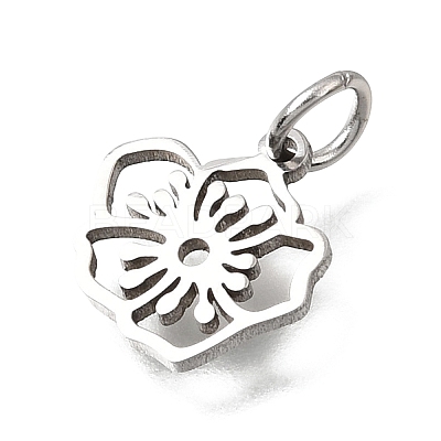 304 Stainless Steel Charms SA-CBA4CE0-01P-B-1