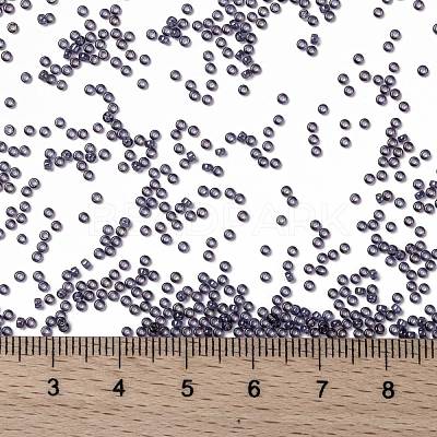 MIYUKI Round Rocailles Beads X-SEED-G009-RR2447-1