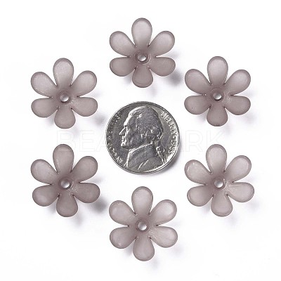 Transparent Acrylic Beads MACR-S373-107-D02-1