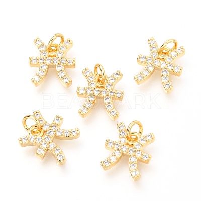 Brass Micro Pave Clear Cubic Zirconia Charms ZIRC-O036-30G-B-1