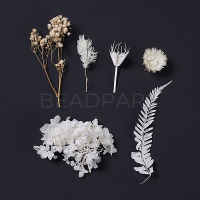 Dried Flowers X-DIY-D052-04-1