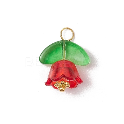 Glass Pendants PALLOY-JF03355-1