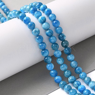Natural Apatite Beads Strands G-I254-08H-1