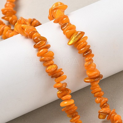 Natural Freshwater Shell Beads Strands BSHE-I016-01I-1