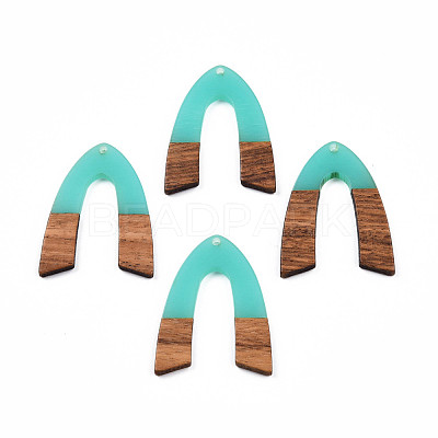 Transparent Resin & Walnut Wood Pendants RESI-N025-029-C04-1