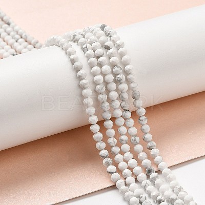 Natural Howlite Beads Strands X-G-E608-A01-B-1