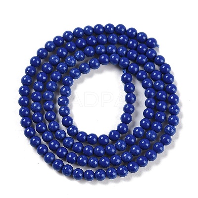 Synthetic Turquoise Beads Strands G-U004-02A-1