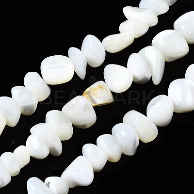 Natural Trochid Shell/Trochus Shell Beads Strands SSHEL-N034-78-A01-1