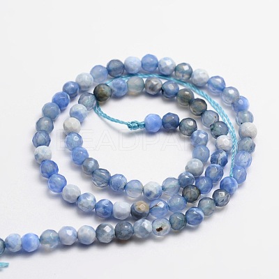 Faceted Natural Agate Round Beads Strands G-E318B-4mm-02-1