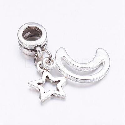 Tibetan Style Alloy European Dangle Charms PALLOY-JF00331-1