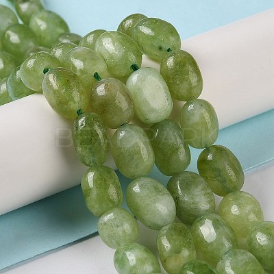 Natural Malaysia Jade Beads Strands G-I283-H14-01-1
