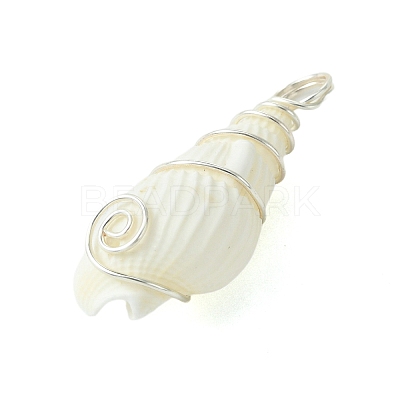 Natural Trumpet Shell Pendants PALLOY-JF02794-02-1