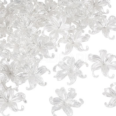 40Pcs 2 Styles Plastic Bead Caps KY-TA0001-67-1